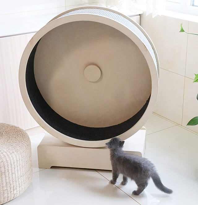 Penn-Plax Spin Kitty Cat Exercise Wheel