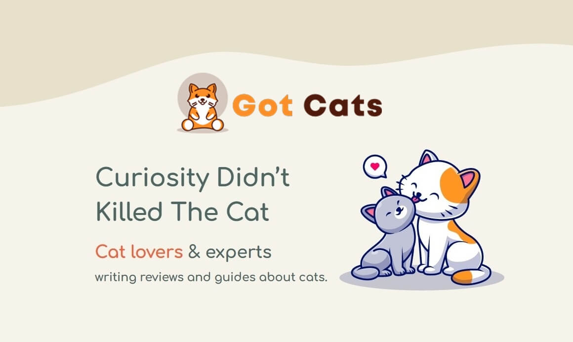 Got cats online cat articles