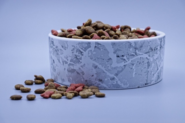 Pet food brands compromise the quality of ingredients to make more profits