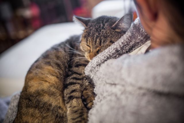 Science Behind the Purr