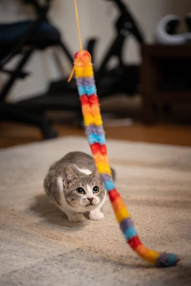 top cat toys